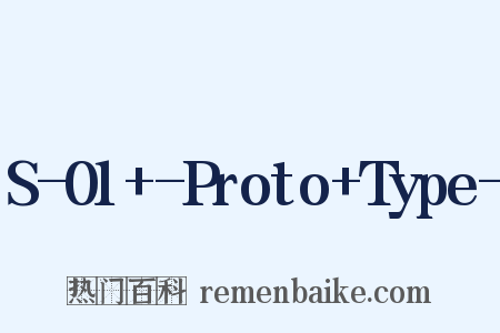 S-01+-Proto+Type-是什么意思的图片